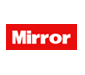Mirror Cricket