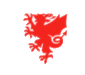 faw cymru